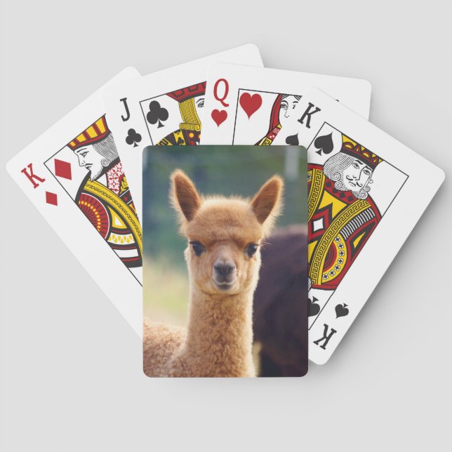 Baby Alpaca Bicycle Playing Cards (Back)