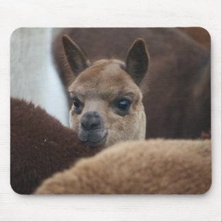 Baby Alpaca Mouse Mat
