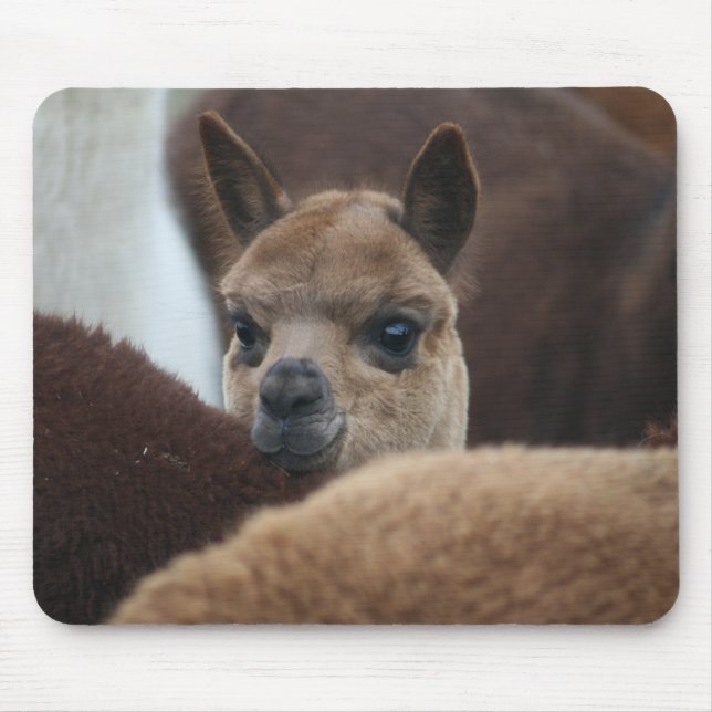 Baby Alpaca Mouse Mat (Front)