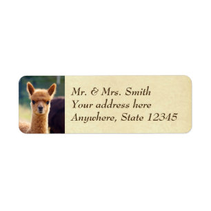 Baby Alpaca Return Address Labels