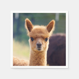 Baby Alpaca Standard Cocktail Napkin