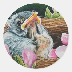 Baby American Robin Bird in Nest Watercolor Art Classic Round Sticker