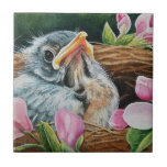 Baby American Robin Bird in Nest Watercolor Art Tile<br><div class="desc">"Missing Mum" Watercolor Art Ceramic Tile by artist Jean Weiner "Missing Mum" features a sweet, baby, American Robin bird almost ready to leave the safety of it's nest. Pale pink crab apple flower blooms surround the bird's nest. Is this bird's mother out finding a tasty worm for her baby? Soon...</div>