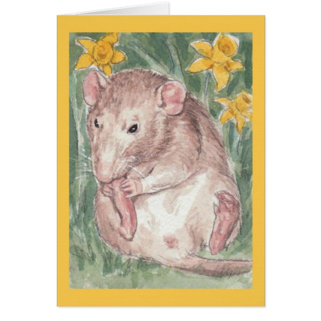 Baby Angel Grooms her Toes (Front)