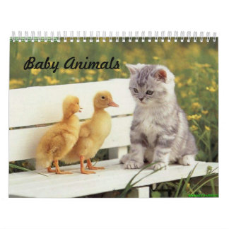Baby Animal Calendar