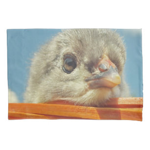 baby animal chicks pillowcase