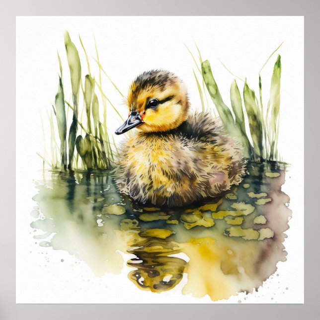 Baby Animal Prints for Nursery, Cute Duck poster (Front)