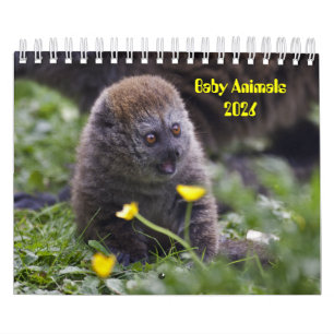 Baby Animals Calendar 2025