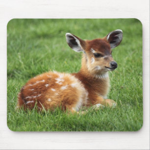 Baby Antelope Mouse Mat