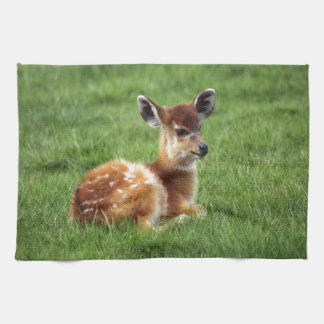 Baby Antelope Tea Towel