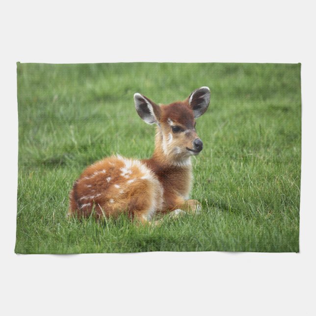 Baby Antelope Tea Towel (Horizontal)