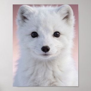 Baby Arctic Fox Nursery Wall Art Print