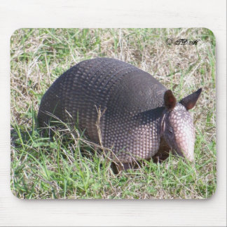 Baby Armadillo ©TDH Mouse Mat