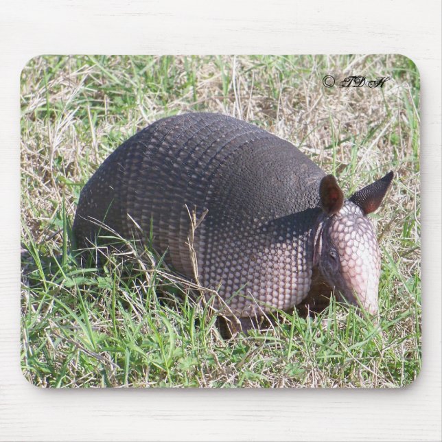 Baby Armadillo ©TDH Mouse Mat (Front)