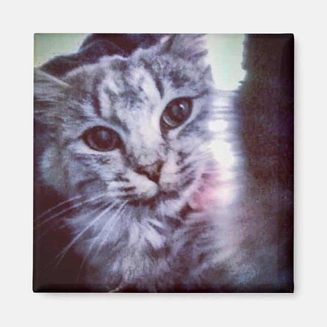 Baby Artemis  Magnet (Front)