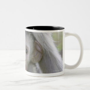 Baby baboon underneath its mother Two-Tone coffee mug