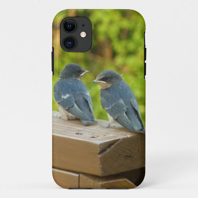 Baby Barn Swallows Nature Bird Photography Case-Mate iPhone Case (Back)