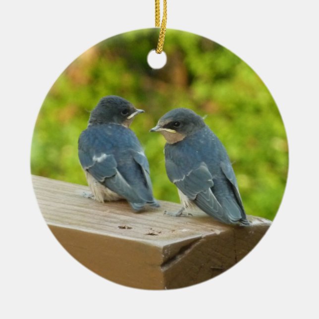 Baby Barn Swallows Nature Bird Photography Ceramic Tree Decoration (Front)