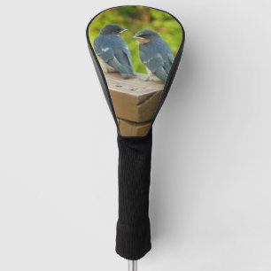 Baby Barn Swallows Nature Bird Photography Golf Head Cover