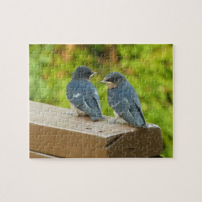 Baby Barn Swallows Nature Bird Photography Jigsaw Puzzle (Horizontal)