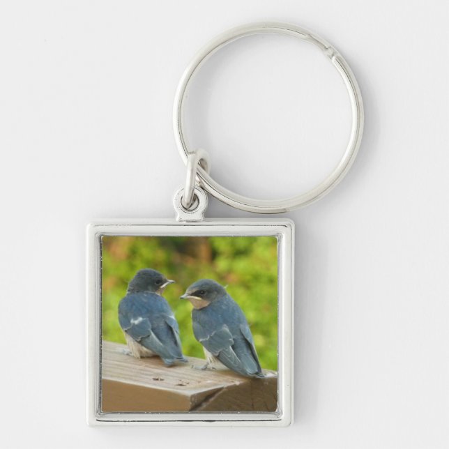 Baby Barn Swallows Nature Bird Photography Key Ring (Front)