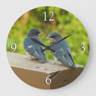 Baby Barn Swallows Nature Bird Photography Large Clock