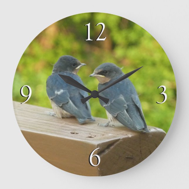 Baby Barn Swallows Nature Bird Photography Large Clock (Front)