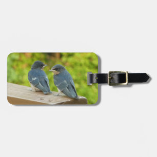 Baby Barn Swallows Nature Bird Photography Luggage Tag
