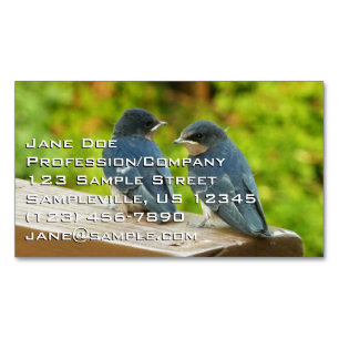 Baby Barn Swallows Nature Bird Photography Magnetic Business Card