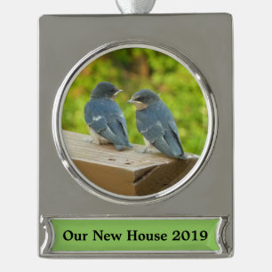 Baby Barn Swallows Nature Bird Photography Silver Plated Banner Ornament