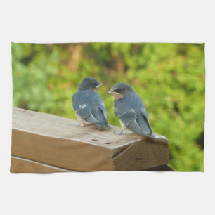 Baby Barn Swallows Nature Bird Photography Tea Towel