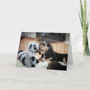 Baby Beagle And Her New Toy Card