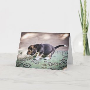 Baby Beagle and Leaf Card