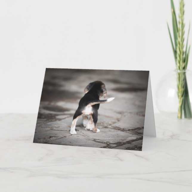 Baby Beagle Bottom Card (Front)
