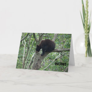 baby bear birthday card
