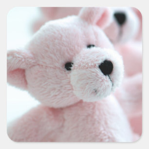 Baby Bear Square Sticker