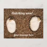 Baby Bearded Dragons Hatching!