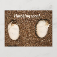 Baby Bearded Dragons Hatching!
