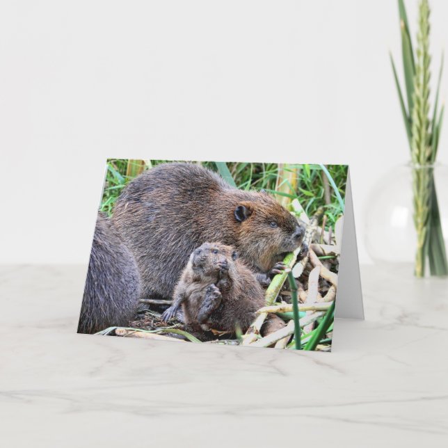 Baby Beaver and Family Photo Card (Front)