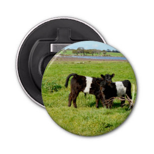 Baby Belted Galloway Cows In Country, Bottle Opener