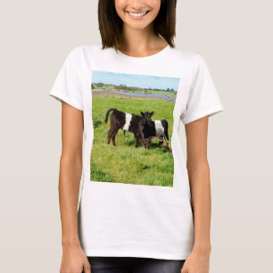 Baby Belted Galloway Cows In Country, T-Shirt