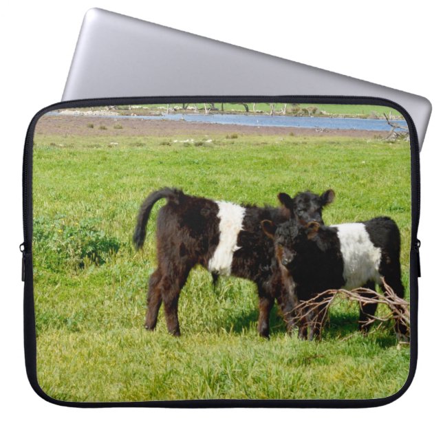 Baby Belted Galloway Cows In The Country, Laptop Sleeve (Front)