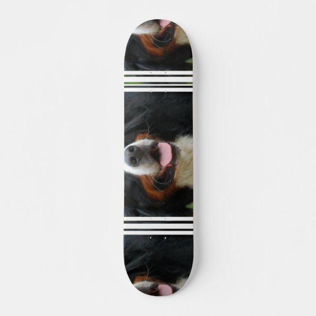 Baby Bernese Mountain Dog Skateboard (Front)