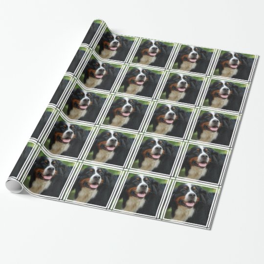 Baby Bernese Mountain Dog Wrapping Paper | Zazzle.co.uk