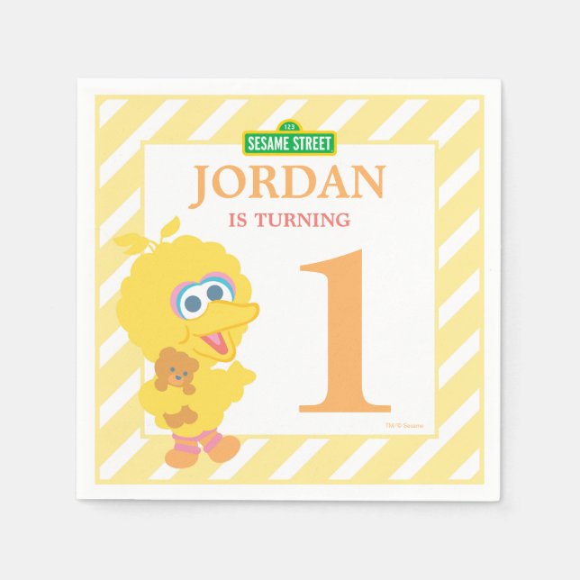 Baby Big Bird Birthday Paper Napkins (Front)