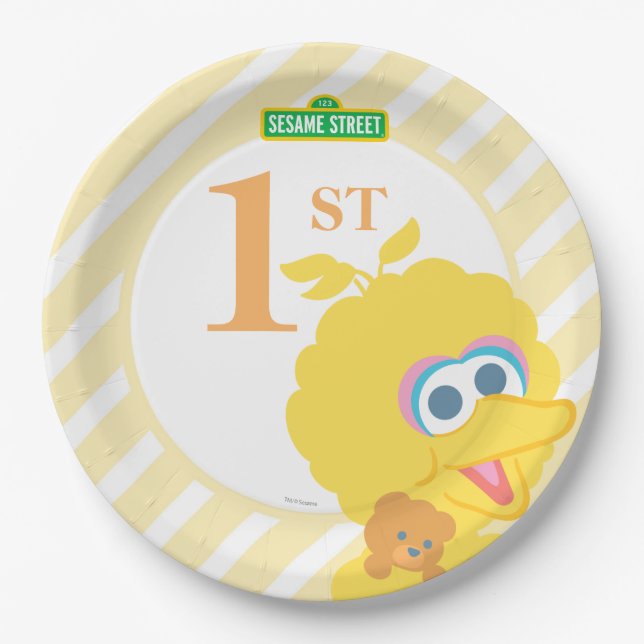 Baby Big Bird Birthday Paper Plate (Front)