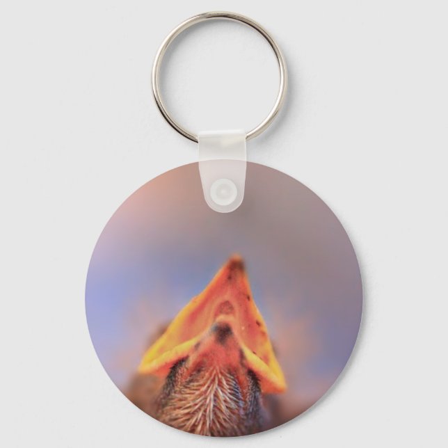Baby Bird 2 Key Ring (Front)