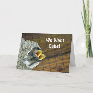 Baby Bird Birthday Card