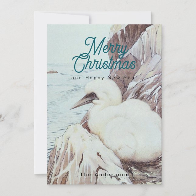 Baby bird holiday card (Front)