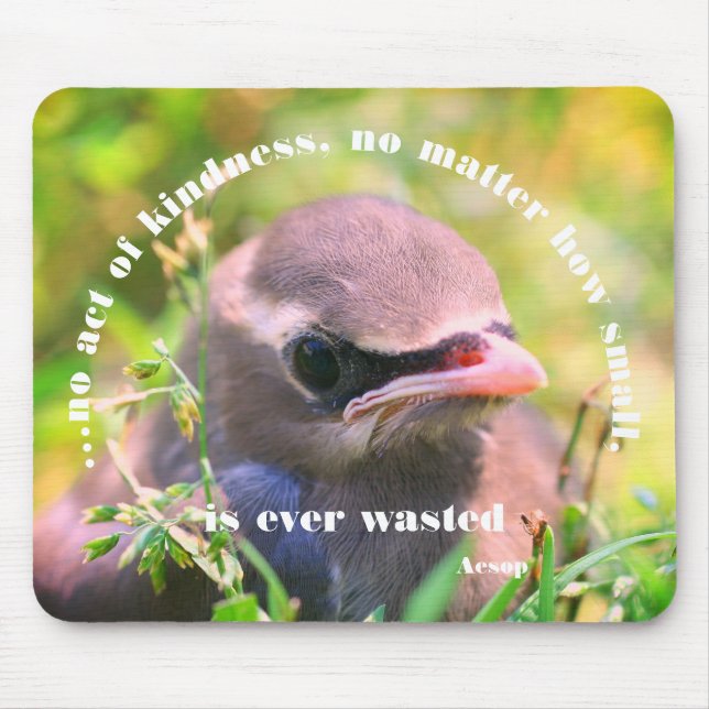 Baby Bird Kindness Quote Inspirational Mouse Mat (Front)